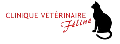 Clinique Vétérinaire Féline Inc.
