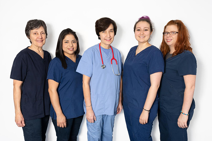 Cat Medicine Specialists Montréal