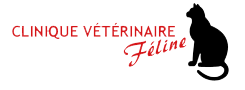 Clinique Vétérinaire Féline Inc.